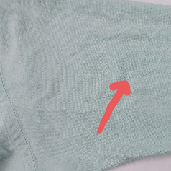 Ralph Lauren Shirt Mens Size 15.5-34 Green Mint Polo Flesh Pony Button Down - Picture 10 of 11